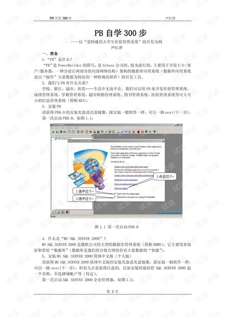 PB技術(shù)開發(fā)自學(xué)資源與CSDN文庫指南